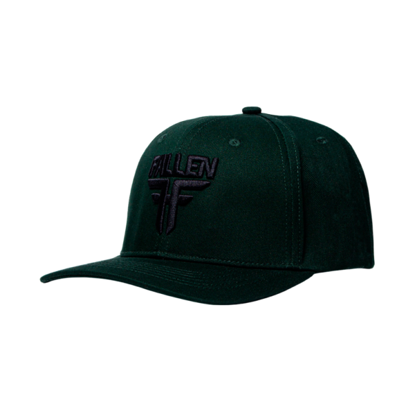 FALLEN INSIGNIA CURVE	FERN / BLACK